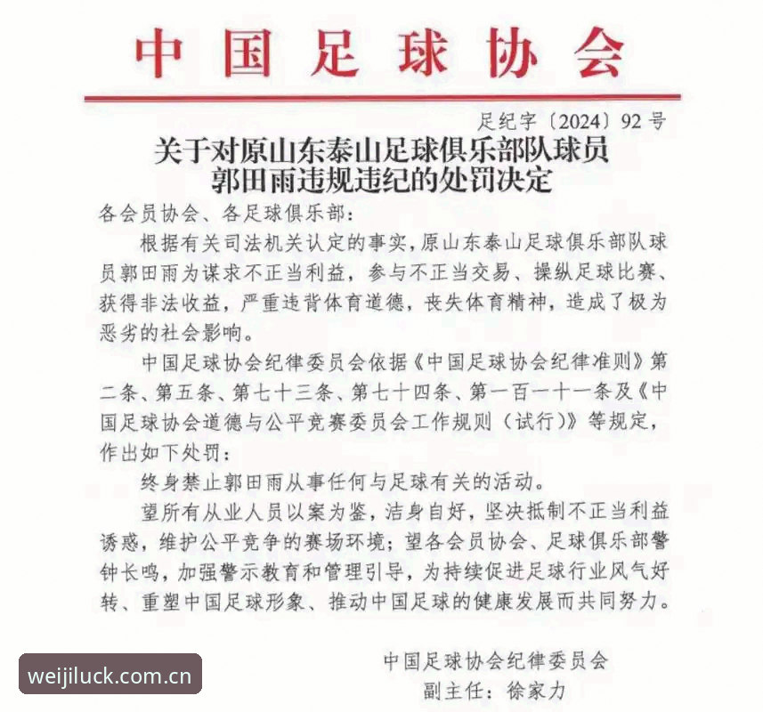 维基体育官网入口 中国足协第三批禁足名单最新进展:17人终身禁赛,48人受罚,足球腐败整治再升级